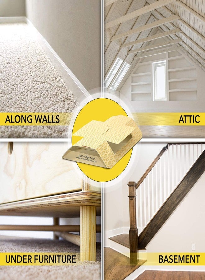 Harris Spider Glue Traps, Pesticide Free (2-Pack), Kills Brown Recluse, Hobo Spider, Black Widow and More - Image 4